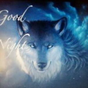 Meet your Posher, Leon